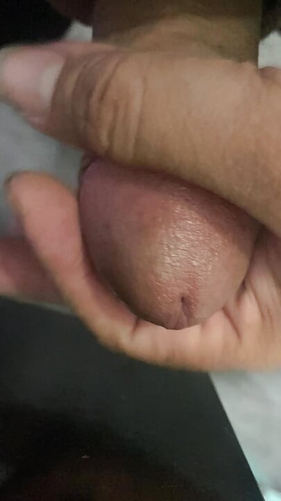 No banheiro, tinha um pau que estava ficando duro, só sabendo aguentar, sem ter que fazer nada