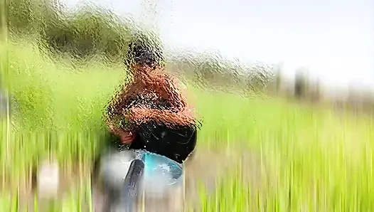 The desi stepsister of the village is bathing openly in the open field, bathing naked in the forest, brother-in-law is secretly