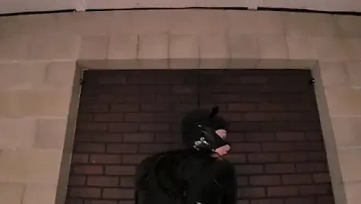 Vrcosplayx kylie rocket sebagai catwoman akan memandumu melalui misteri kenikmatan seksual bagian 2