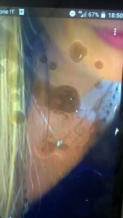 Cumtribute Micaela