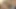Tori Black, Alexis Texas, Erik Everhard Pornstars Big Ass, Big booty, tits, pussy fuck, teasing, comedy,  Horny Teaser#1