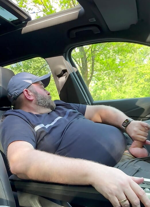 Bear almost got caught in the car