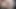 Pov- britanly brow si cewek toket besar lagi asik nyepong kontol dan ngentot kontol habis-habisan