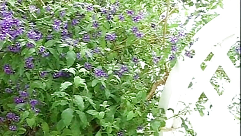 Joven jock dotado folla su musculoso amante anal y termina