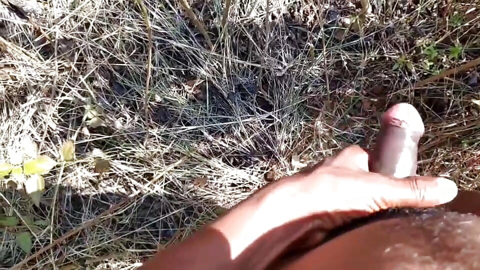 Desi indischer sex-dschungel ficken xxx video