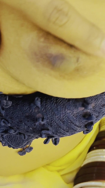 Memorable moment from "Ramu naukar and malkin hindi sex web series"