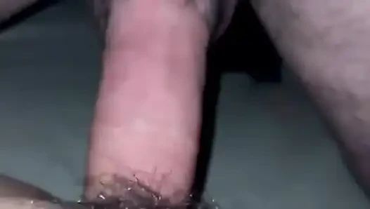 Pug anal ,fucked