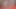Big-Ass Femboy And His Tattooed Friend Fuck A Christmas Elf And Cum On His Face - 637
