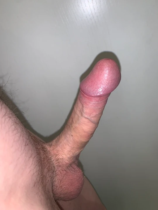 Fat balls