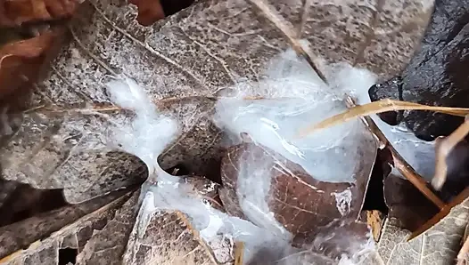 Parkta boşalma ve yerde döl gösterme yakın çekim
