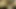 Junges Couple hat liebe vollen Sex