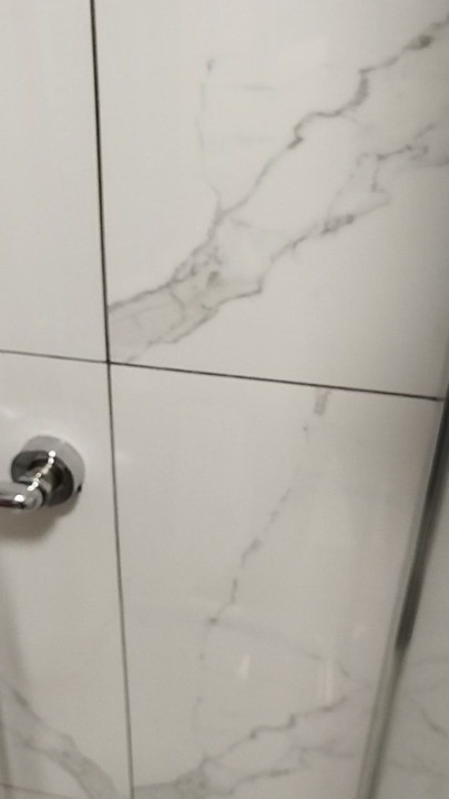 Dildos in the shower