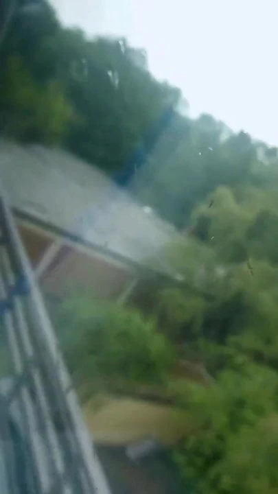 Michamechanik mostra il cazzo in treno