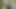 Amateur-Schwanz lutscht blonde Gesichtsbesamung