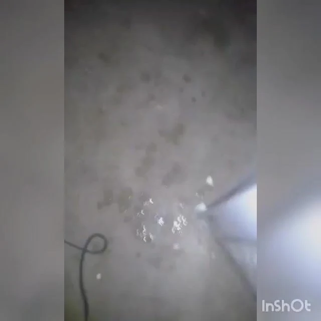 Second part of the. Cousin who shows me his cock