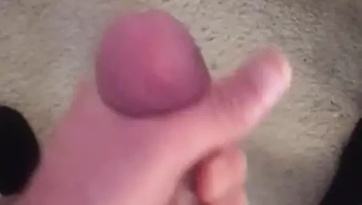 独奏大鸡巴卡明