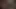 3D Futa Anal Compilation #1
