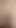 Sıkı genç delik boşalmak için prezervatifsiz yarakla sikiliyor! Femboy'un travestisinin pürüzsüz ateşli dar deliği