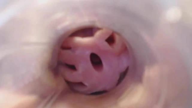 Internal Fleshlight Cum 1.