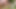 Stranger Caught Me in Park and Fuck in Toilet