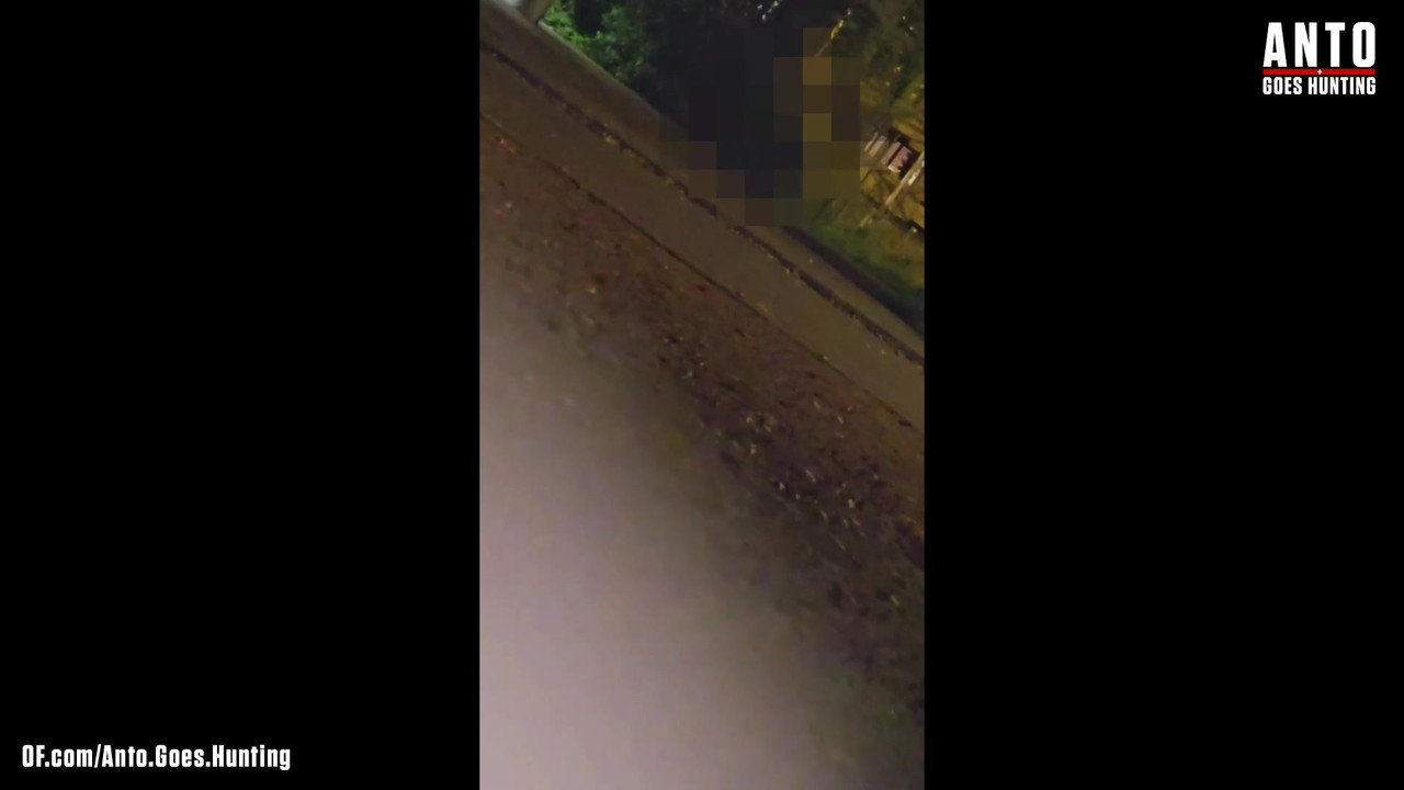 另一个保安走近并说服