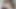 POV: Daddy's Day Video Call