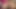 in the middle of🌞a heat wave, 24 hours with a transvestite whore. VaneSsaBiTCHx PariSChienneTrvProd⁹¹
