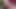 Kendrall Karson porn video – Kendall Karson Really Loves Big Dick