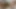 8teenhub - adegan seks anal lesbian bareng vanessa lanea dan tory lane