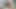 BBW DP Black lady ass and pussyfucked in Gonzo 3some at home