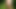 outdoor all naked cumshot