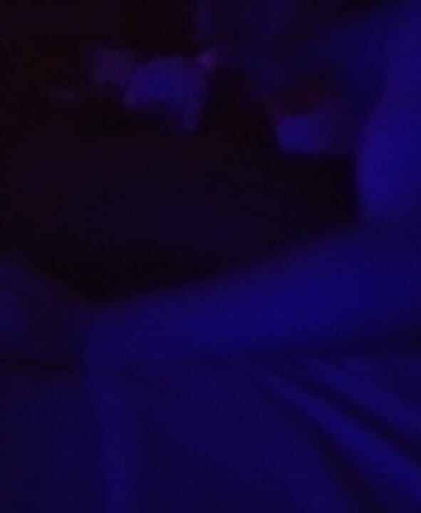 BBW orally pleases BBC