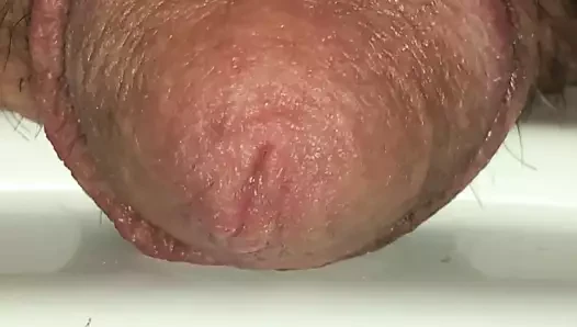 temelde