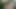 brunette verwoehnt sich mit dildo und wird vom nachbarn erwischt