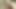 Interracial, verschwitzter Latina-Sex mit Coco Velvett