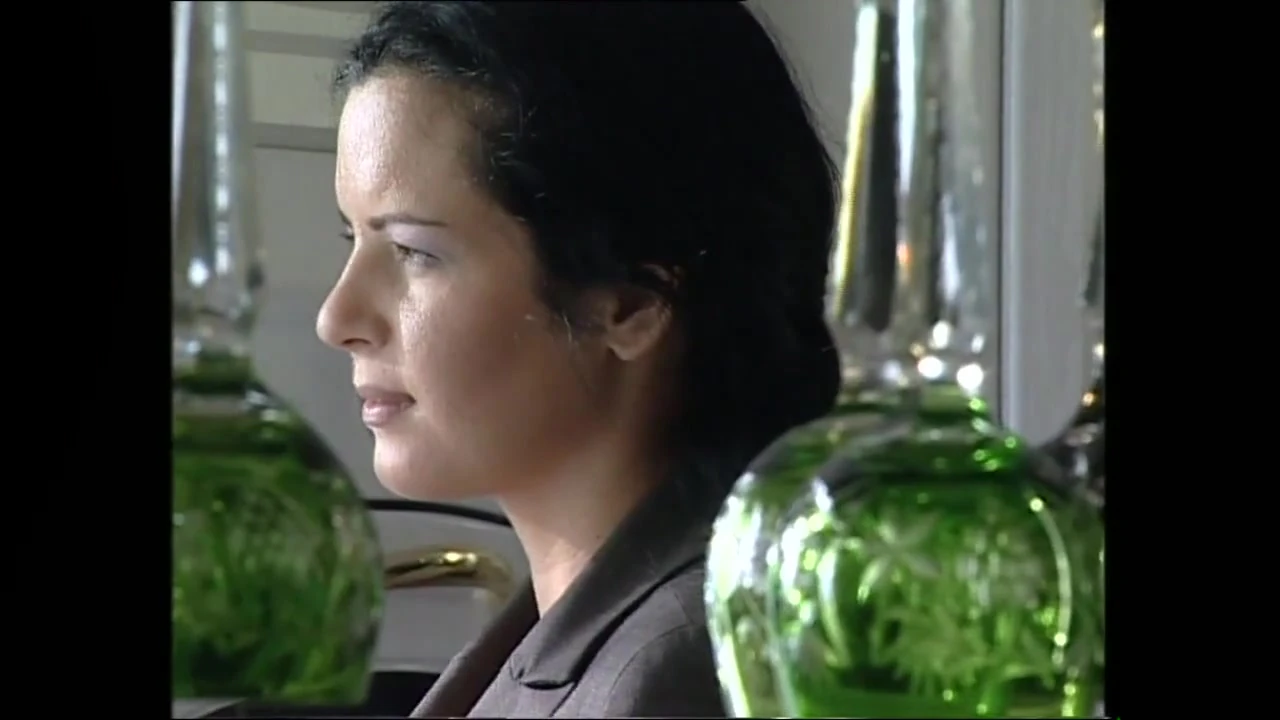 TUTTO SU QUELLA TROIA DI MIA MOGLIE - Episode 3