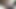 Handsfree orgasm with a vibe strapped to my cock