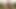 Cewek sange ini lagi asik ngangkang dan ngentot dildo favoritnya