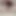 Big Tits, Big Ass, Hairy Pussy