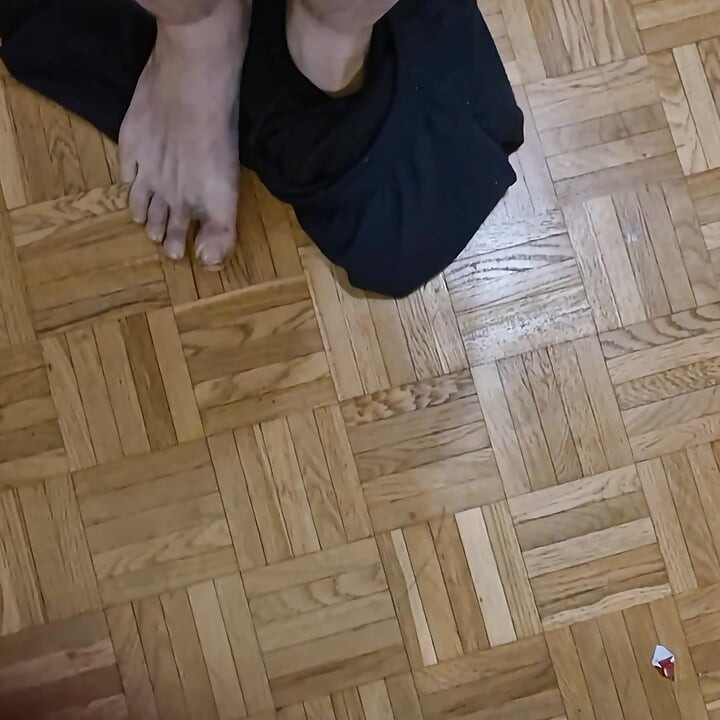 毛深く太ったクマは足がとても汚れています