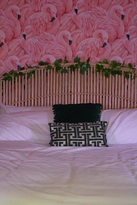Flamingo Room Countdown JOI Bikini Babe