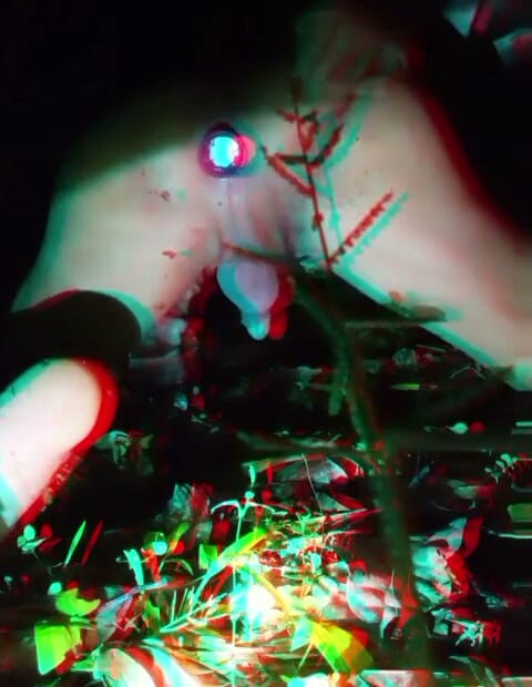 Anal stimulation in the Woods by night