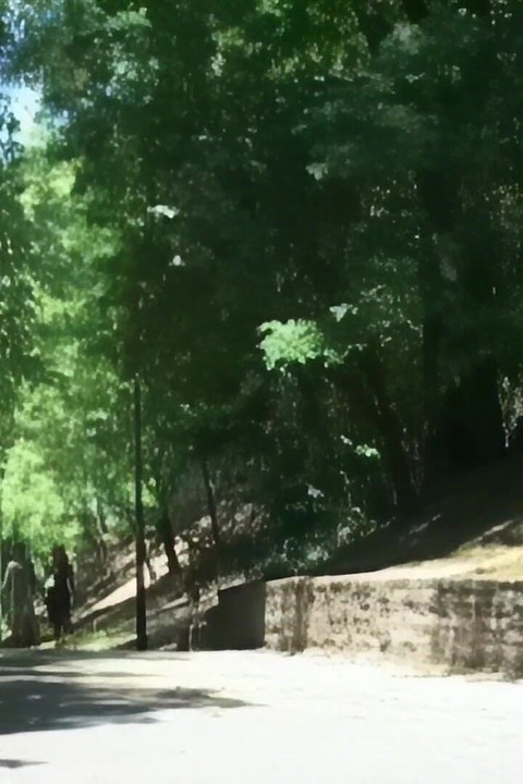 Friends Walk Together