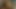masturbation and cumshot