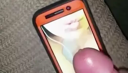Christy haraç derleme