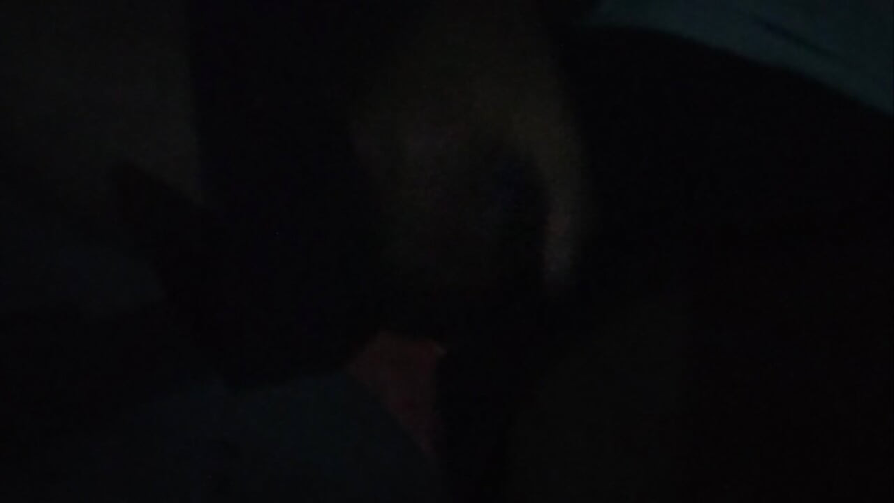 Night