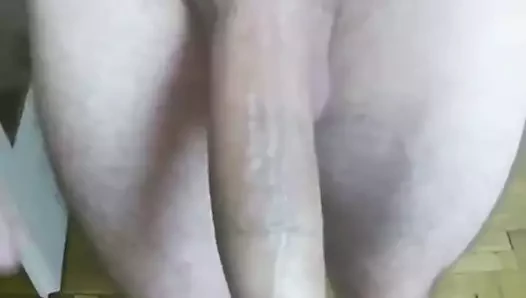benim Alman büyük horoz