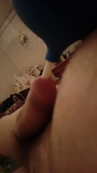 Penis