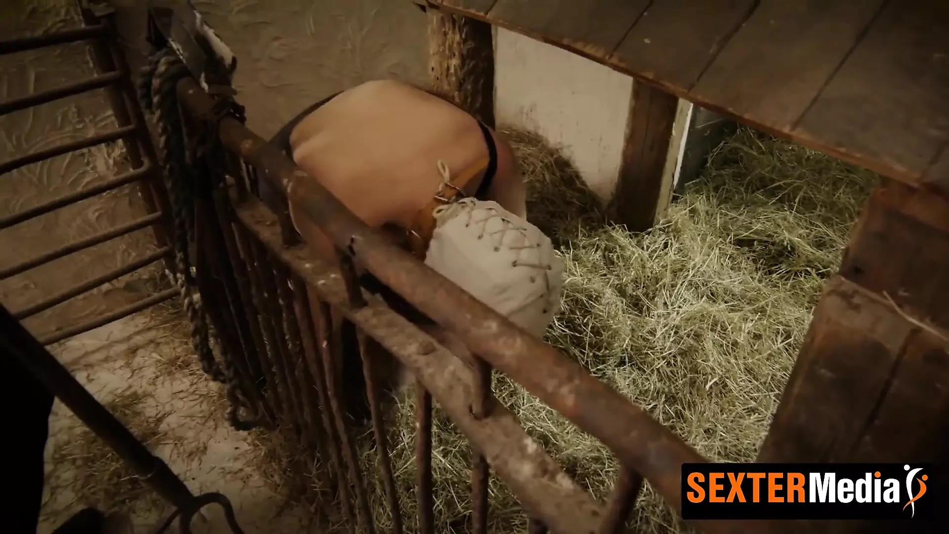 Pigsty extreme Schweinestall extrem