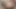 隣人が大きな胸を引っ張り、大きな毛深い膣を愛撫する